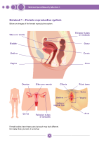 Handout 1 - Female reproductive system front page preview
              